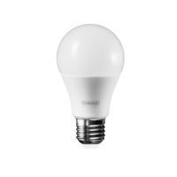 Lampada LED Bulbo Bivolt 9W 6400K